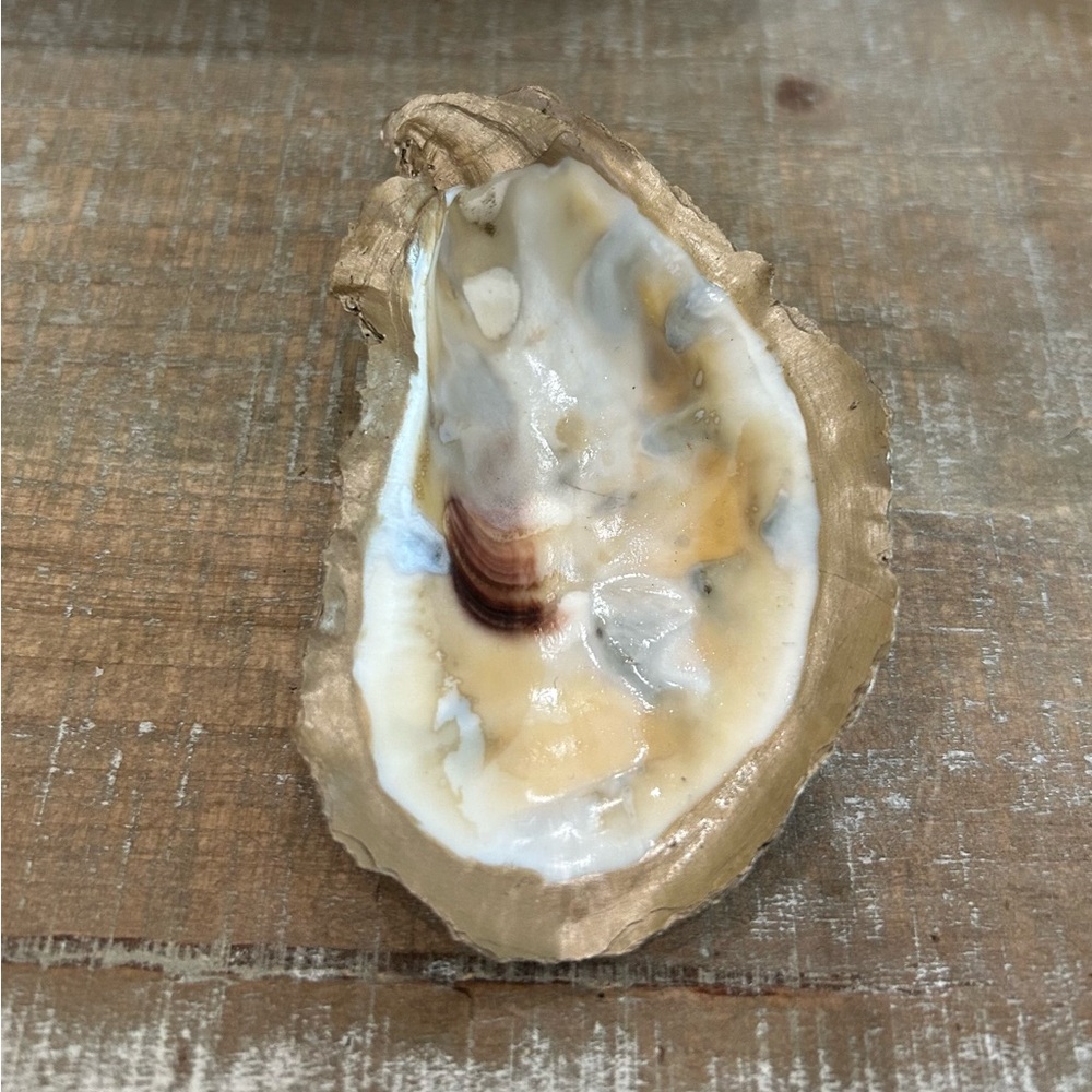 Oyster shell trinket dish